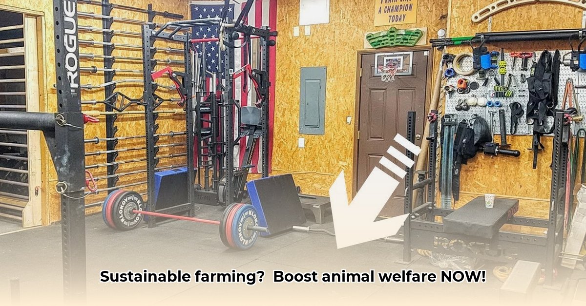 tractor-supply-mats-for-gym